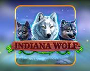 Indiana Wolf Indiana Wolf